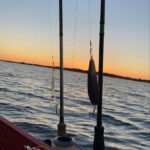 PIKE, GARFISH & PERCH FISHING AT SEA – FISHING TRIP 22